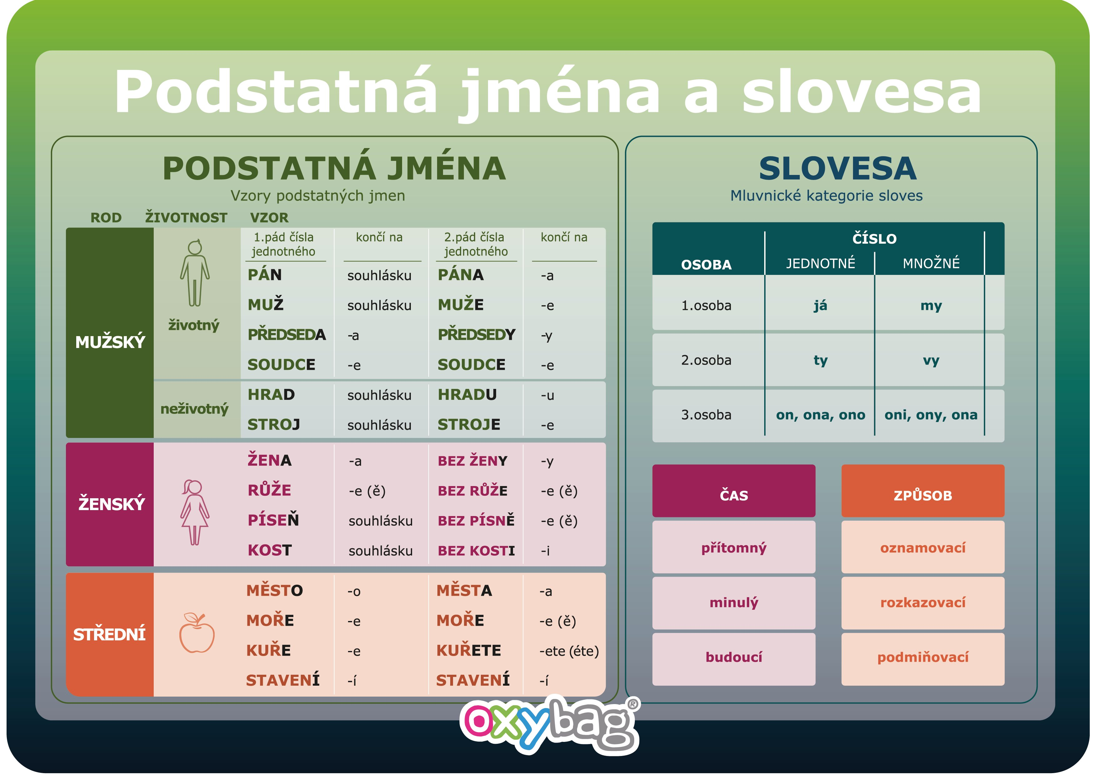 Vzdělávací karta A4 Podstatná jména a slovesa